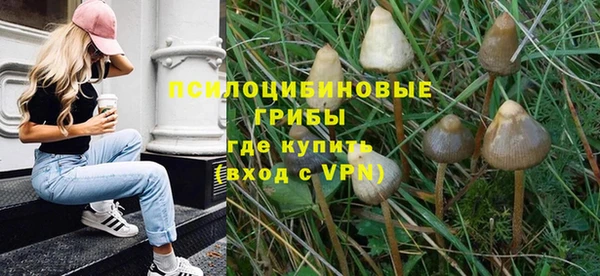 твердый Пересвет