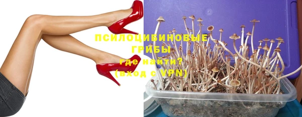 твердый Пересвет