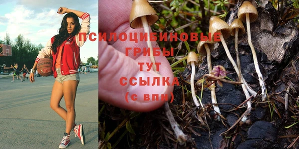 тгк Пестово