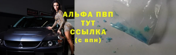 твердый Пересвет