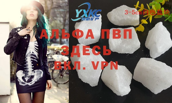 твердый Пересвет