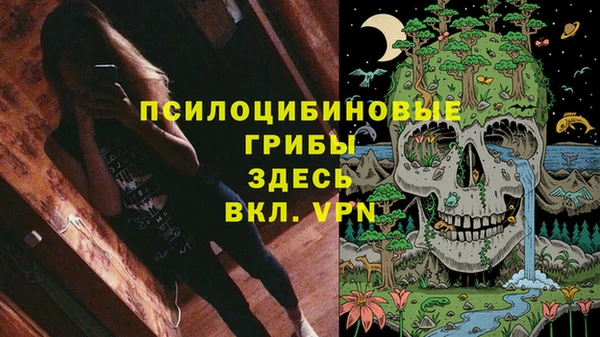 твердый Пересвет