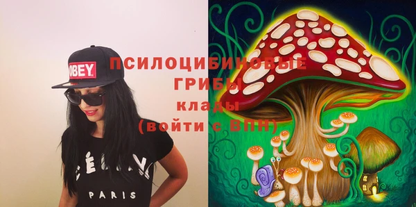 твердый Пересвет