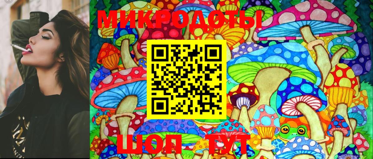 Псилоцибиновые грибы GOLDEN TEACHER  Галлюциногенные грибы прущие грибы  Тара 