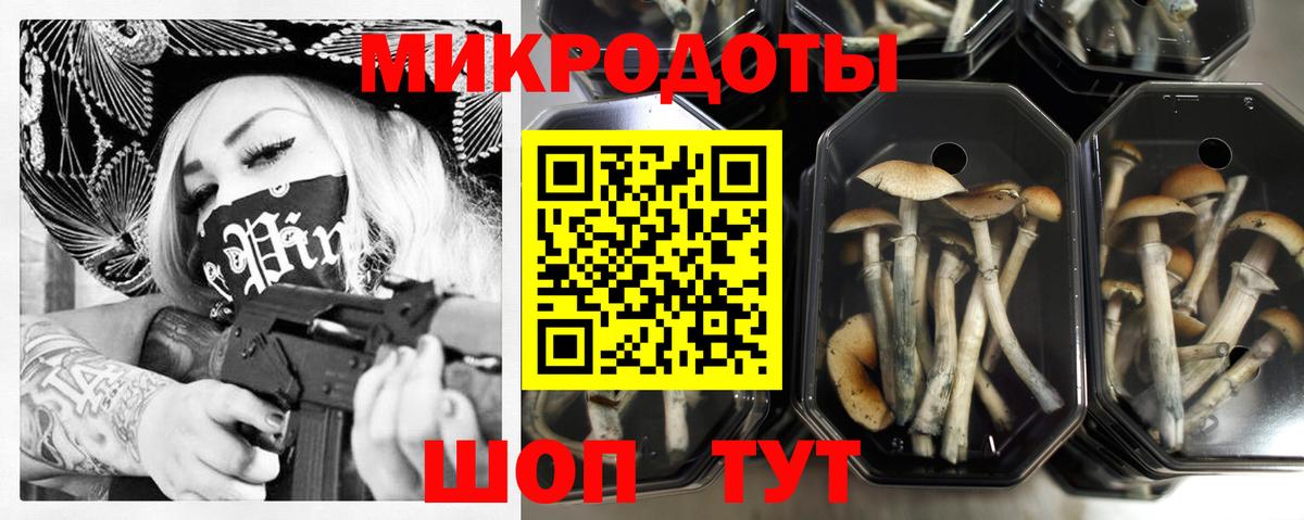 Галлюциногенные грибы Cubensis  Вход с VPN  Галлюциногенные грибы MAGIC MUSHROOMS  Тара 