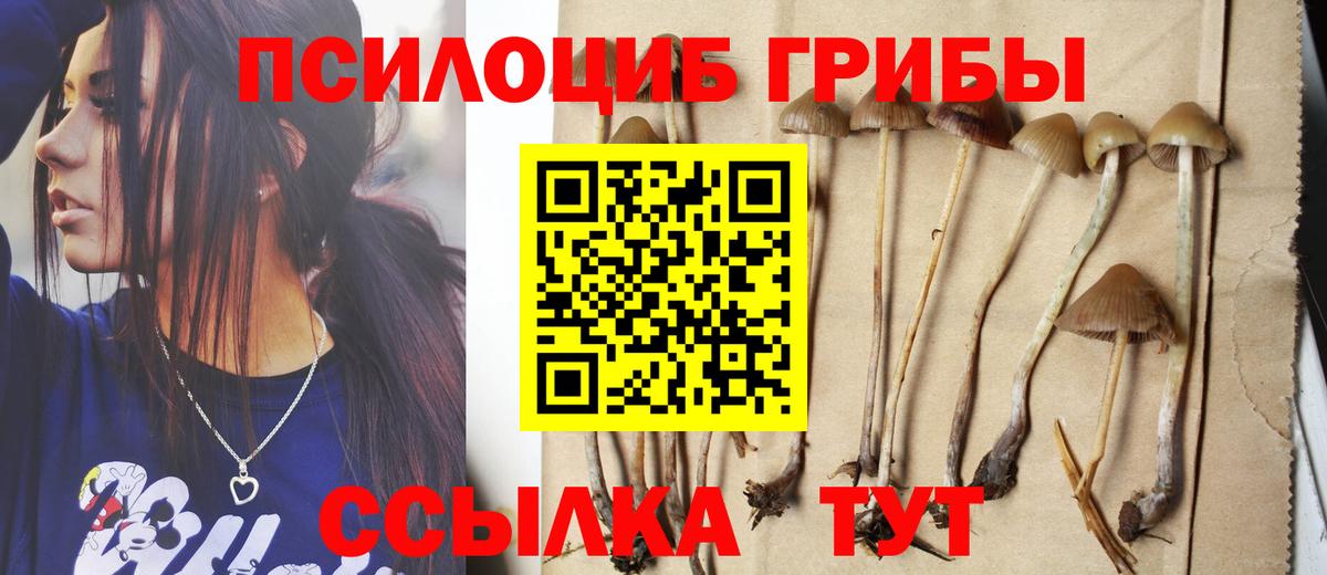 Галлюциногенные грибы мицелий Тара